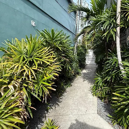 Ibis Suite | Bright Hideaway, Hot Tubs, Steps From Duval!-3
