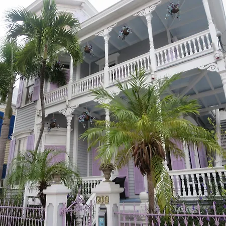 The Artist House-2